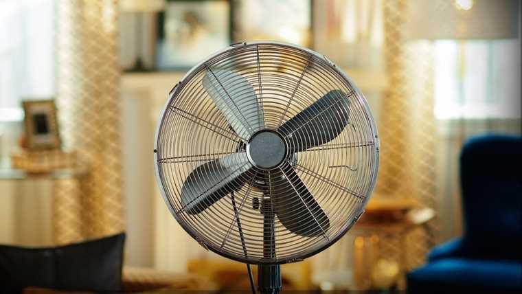 Пять самых полезных функций вентилятора для летнего отдыха