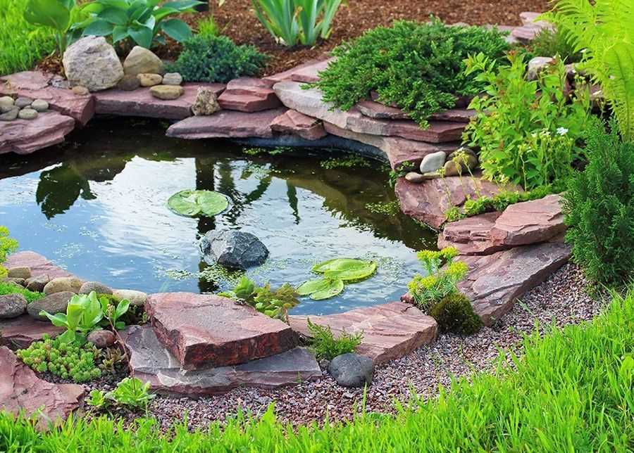 Садовые пруды: создание оазиса на вашем участке