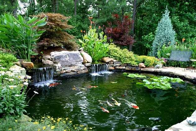 Садовые водоемы: создание и уход за ними