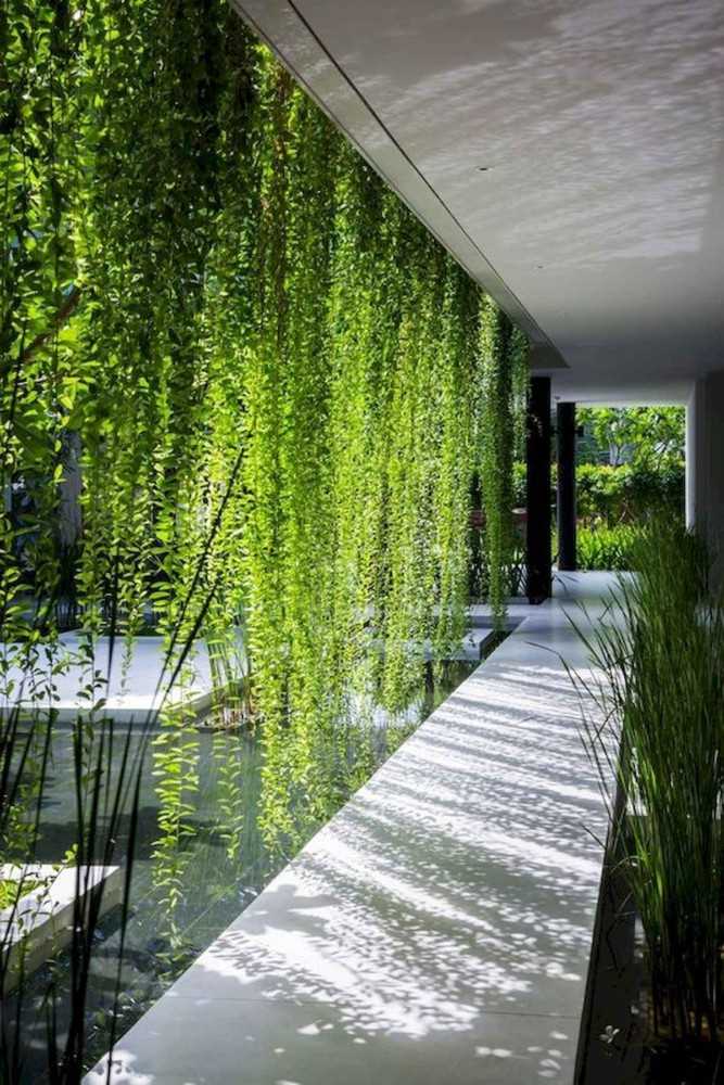 Зеленые стены и вертикальное озеленение: тренды в ландшафтном дизайне