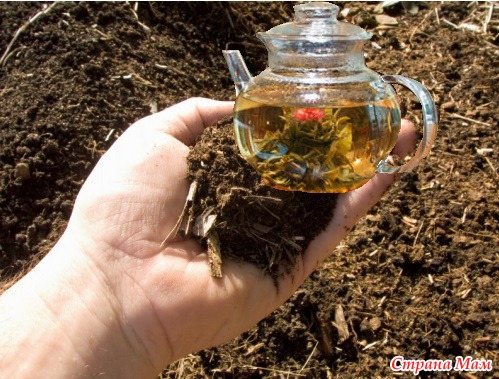 Компостный чай для растений