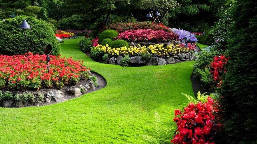 Как создать ароматный и красочный цветник в саду
